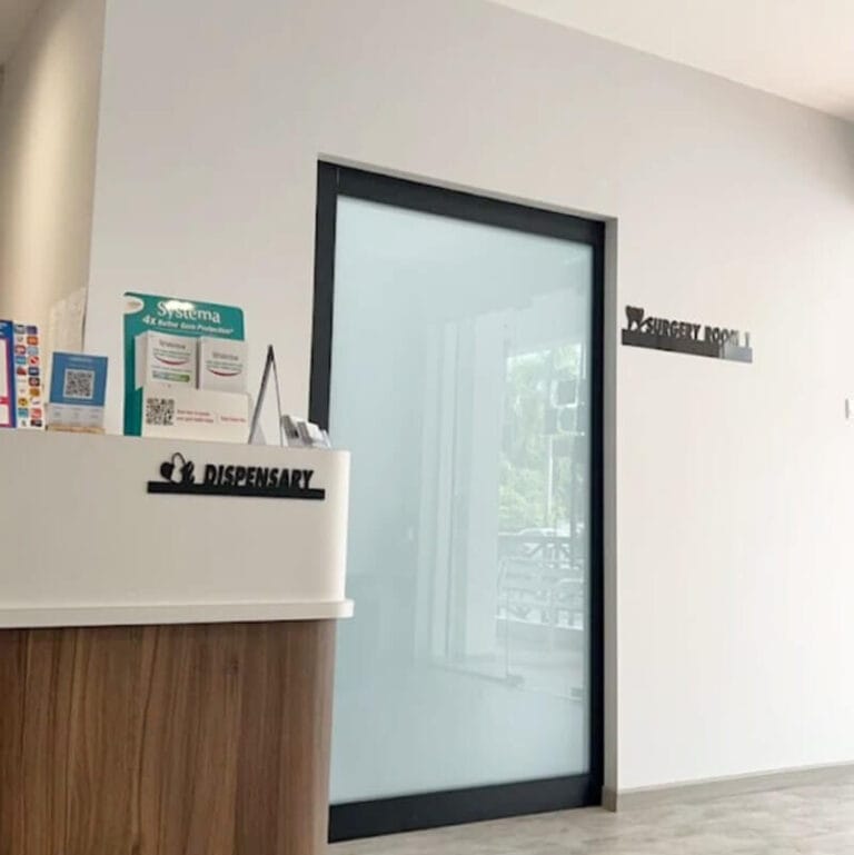 Lets Smile Interior 3